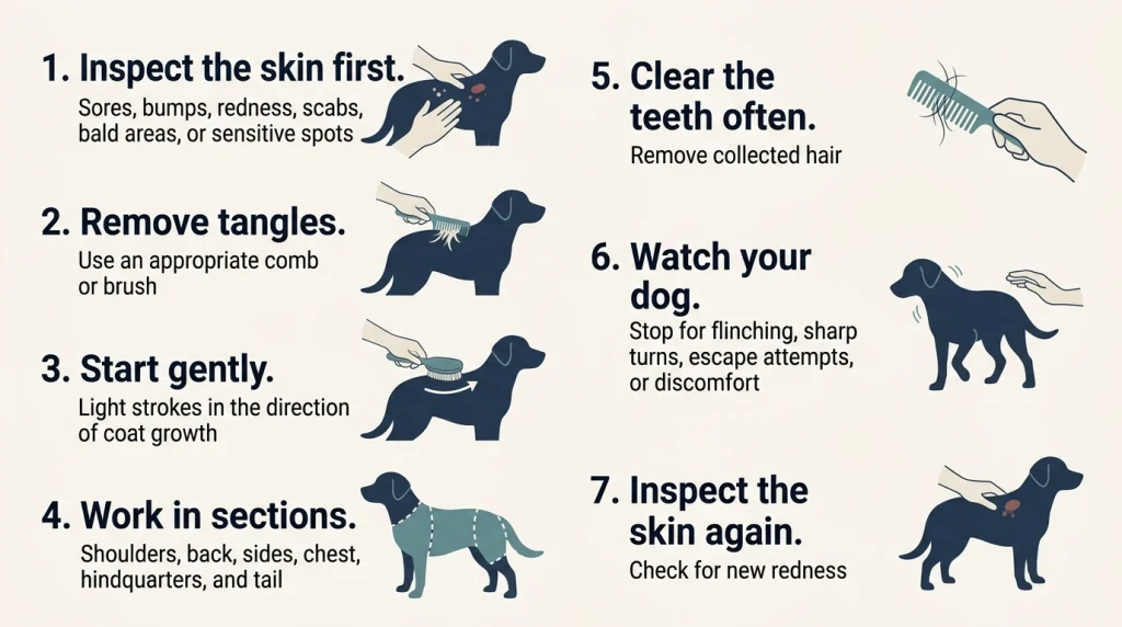 Seven-step de-shedding safety checklist covering skin checks, detangling, light strokes, and signs of discomfort.