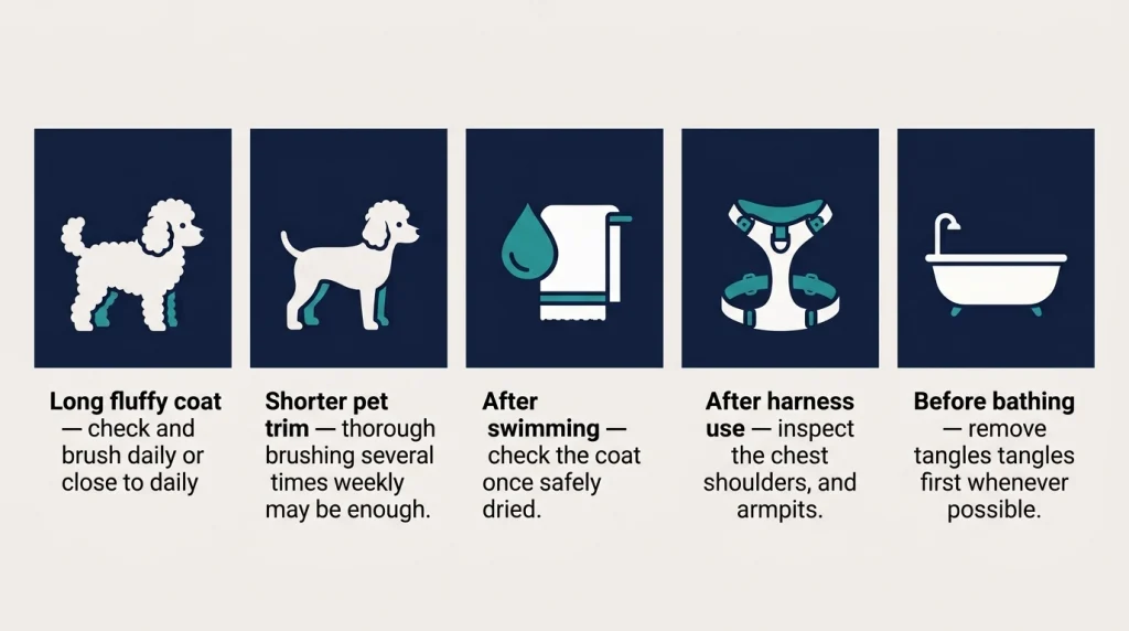 Checklist showing when curly-coated dogs should be brushed and checked for tangles