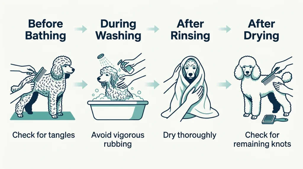 Four-stage infographic comparing curly dog coat care before bathing, washing, drying, and combing.