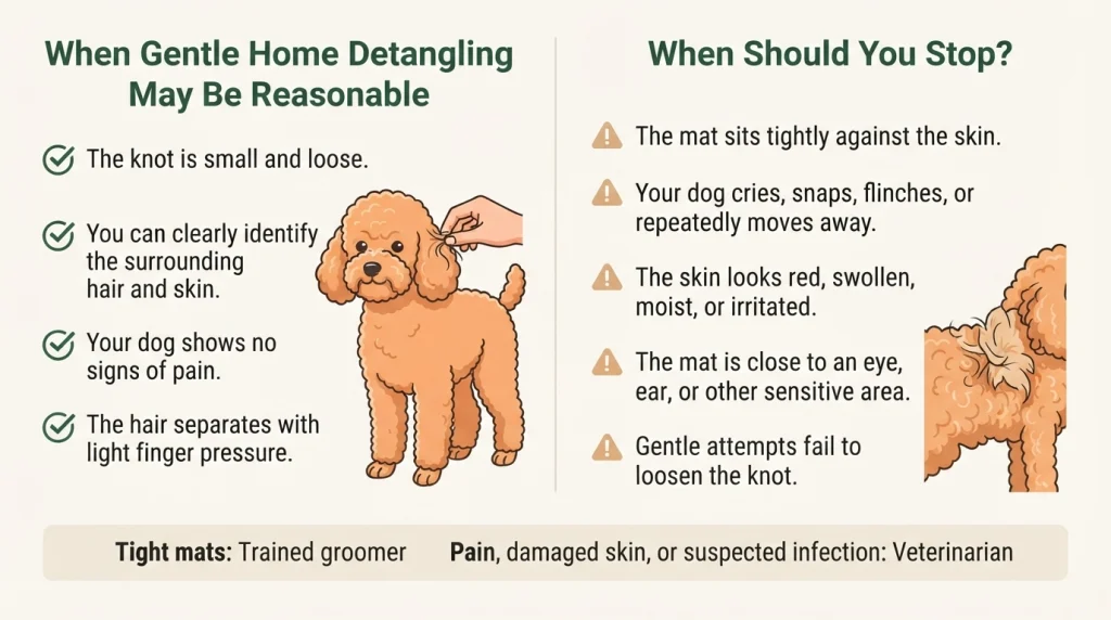 Safety infographic comparing loose dog tangles with tight mats and signs to stop home detangling