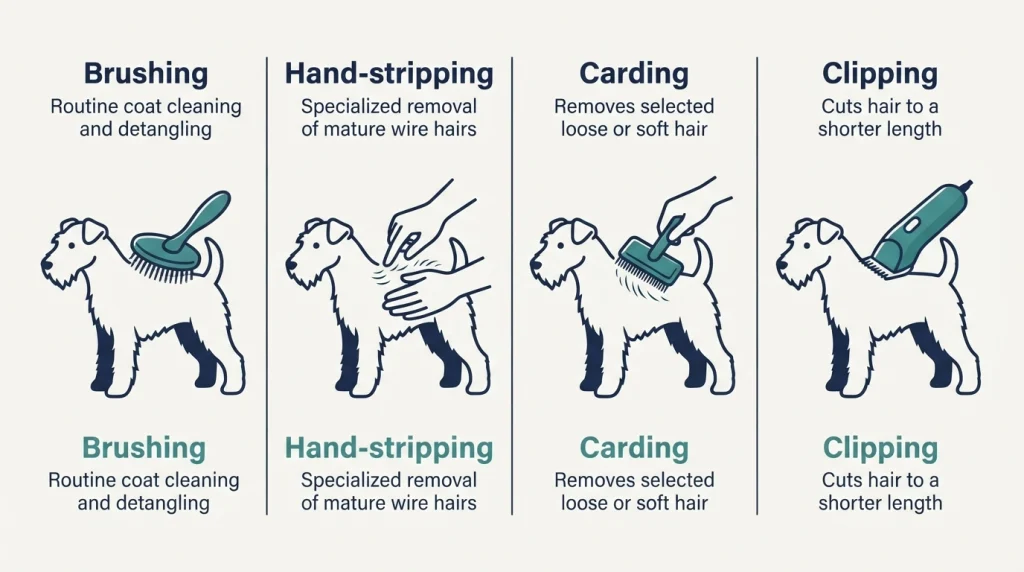 Comparison infographic of brushing, hand-stripping, carding, and clipping methods for wire-haired dogs.