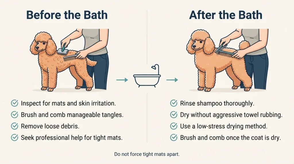 Infographic comparing line brushing before and after bathing a curly-haired dog, with eight grooming checklist items.