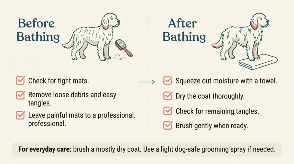 Before-and-after bathing infographic showing when to dry, detangle, and brush wavy dog hair.